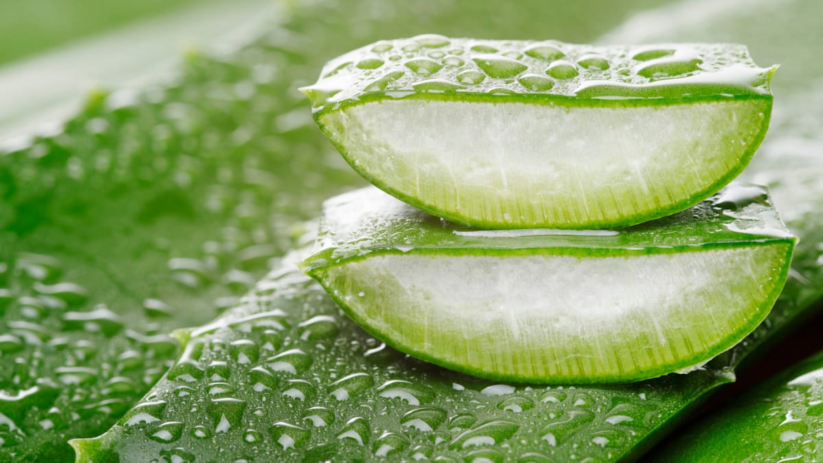 Forever Aloe Vera Gel: Die natürliche Quelle für Gesundheit und Schönheit