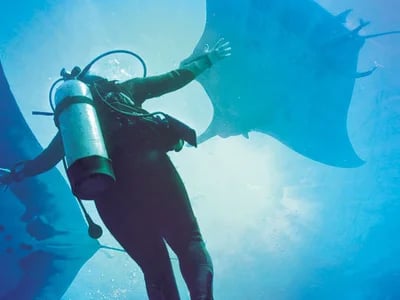 Dive Center Mexiko: Taucherlebnisse in Playa del Carmen für Abenteurer