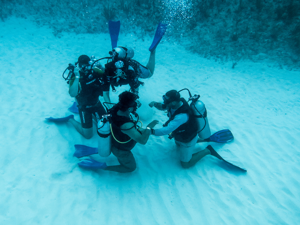 Dive Center Mexiko: Taucherlebnisse in Playa del Carmen für Abenteurer