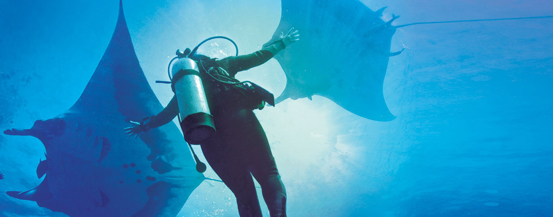 Dive Center Mexiko: Taucherlebnisse in Playa del Carmen für Abenteurer