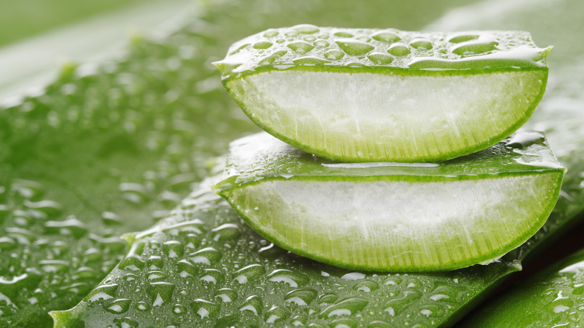 Forever Aloe Vera Gel: Die natürliche Quelle für Gesundheit und Schönheit